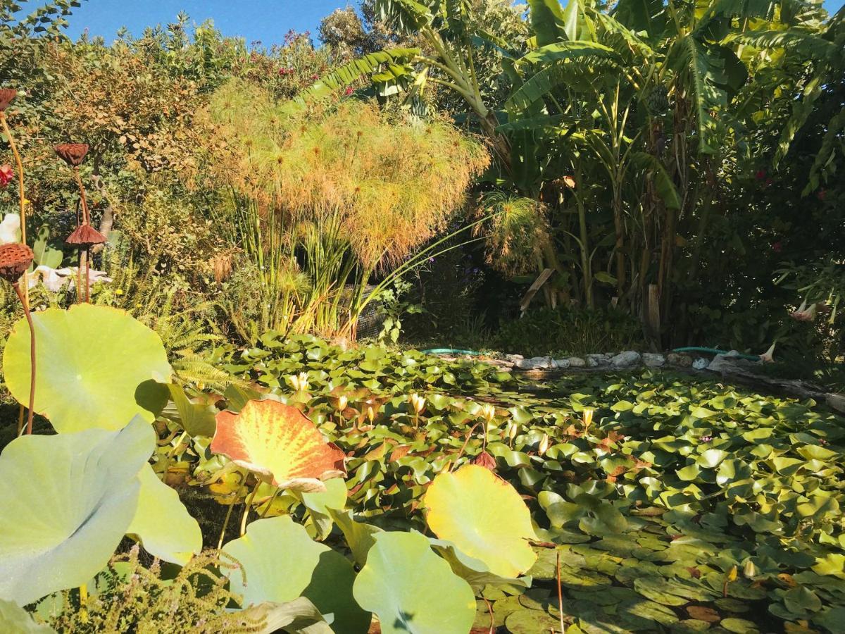 Вилла The Artist'S Farm Dhiyeliotika Экстерьер фото